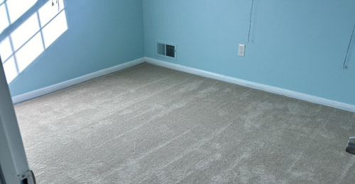 Carpet Cleaning in Perth Amboy, NJ